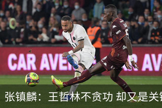 张镇麟：王哲林不贪功 却又是关键时刻能站出来的人 队长当之无愧