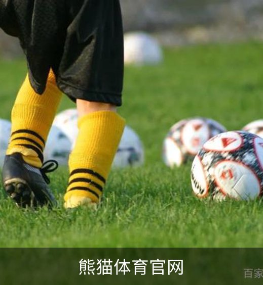 熊猫体育官网简介